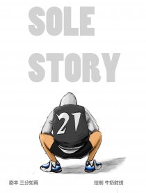 SOLE STORY