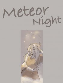 MeteorNight-流星之夜